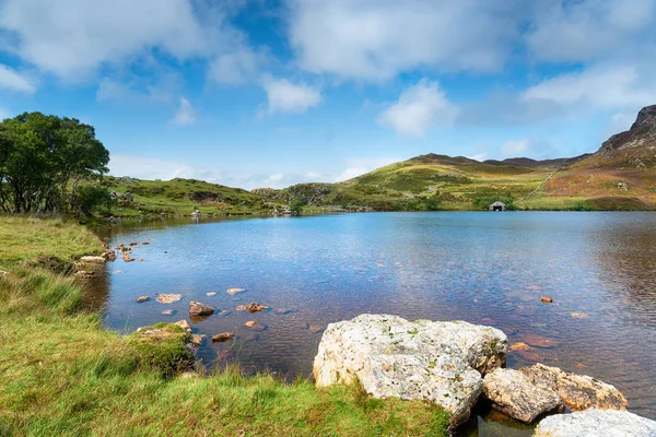 Sommer Cregennan Seen Snowdonia Nationalpark Wales — Stockfoto