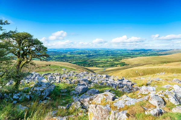 Montagne Noire Entre Upper Brynamman Llangadog Dans Parc National Des — Photo