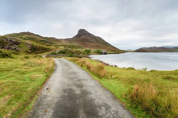 Callejuelas Estrechas Los Lagos Cregennan Las Laderas Cadair Idris Cerca —  Fotos de Stock