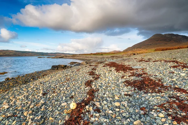 Приголомшливі Берегової Лінії Dhiseig Острові Малл Шотландії Бен Більше Фоновому — стокове фото