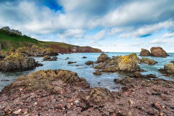 Formazioni Rocciose Sulla Spiaggia Abbs Sulla Costa Orientale Della Scozia — Foto Stock