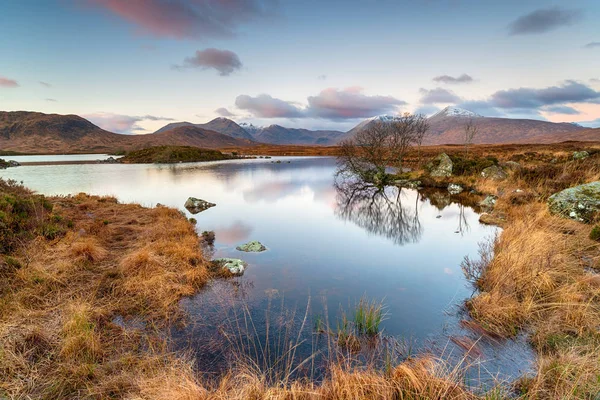 Alba Invernale Lochan Achlaise Glencoe Nelle Highlands Della Scozia — Foto Stock