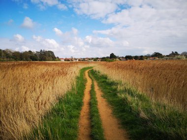 Thornham in Norfolk clipart