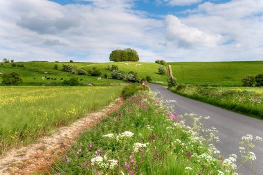 The white horse on Hackpen Hill in Wiltshire clipart