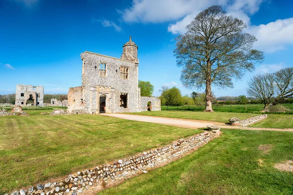 A Norfolk-i Baconsthorpe-kastély romjai — Stock Fotó