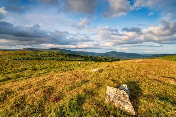 Brughiera selvaggia vicino Llangattock nei fari Brecon — Foto Stock