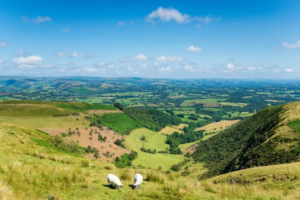 Cwm Owen en Powys en Mid Wales —  Fotos de Stock
