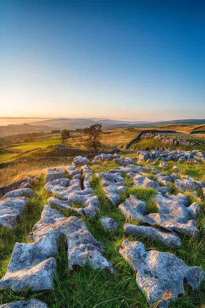 Pavimento Piedra Caliza Las Piedras Winskill Cerca Settle Yorkshire Dales —  Fotos de Stock