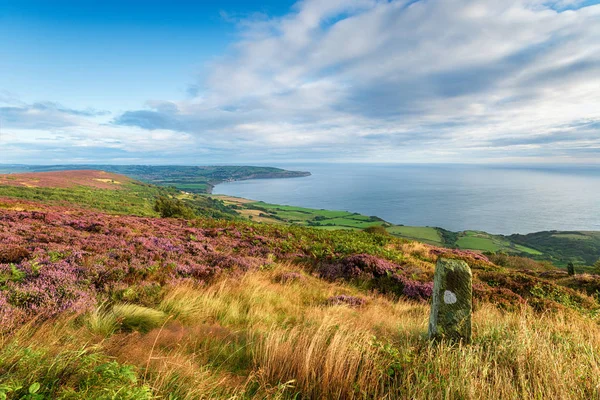 Summer on the North York Moors national park in Yorkshire — Stock Photo, Image