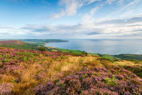 La vista da Ravenscar a Robin Hood Bay — Foto Stock