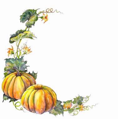 Sonbahar çelenk ile kabak, çiçek, yaprak ve şubeleri. Beyaz arka plan üzerine suluboya. 