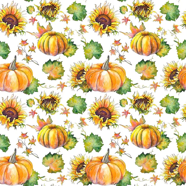Pumpkins, ayçiçeği ve yaprakları ile Seamless modeli. Beyaz zemin üzerine suluboya resim.