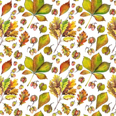 Seamless modeli ile meşe yaprakları, kestane ve meşe palamudu. Beyaz arka plan üzerine suluboya.