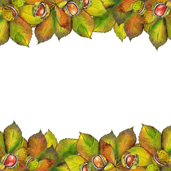 Colorful Autumn Chestnut Leaves Border Watercolor White Background — Stock Photo, Image