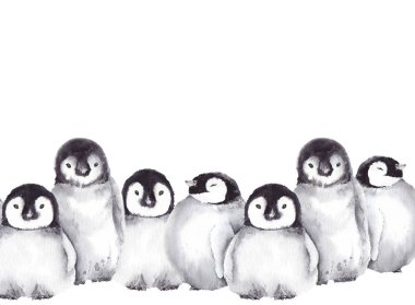 Şirin bebek penguen ile kış sınır. Beyaz zemin üzerine suluboya resim.