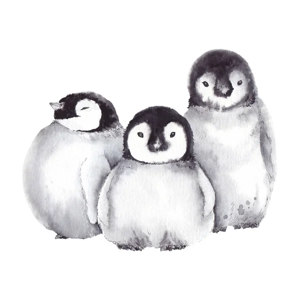 Cute Baby Penguin Family Watercolor Illustration White Background — Stock Photo, Image