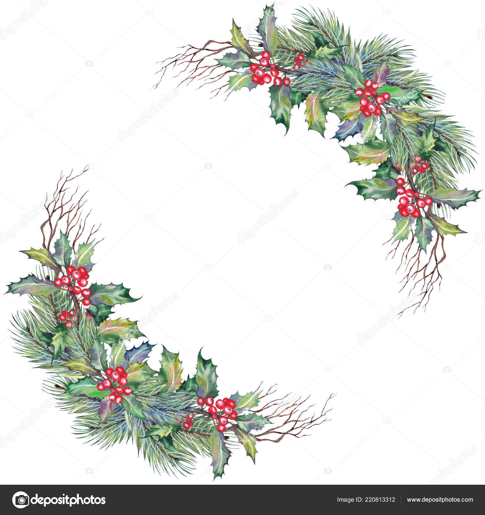 Christmas Branch Holly Twig Pine Stems Stock Vector (Royalty Free