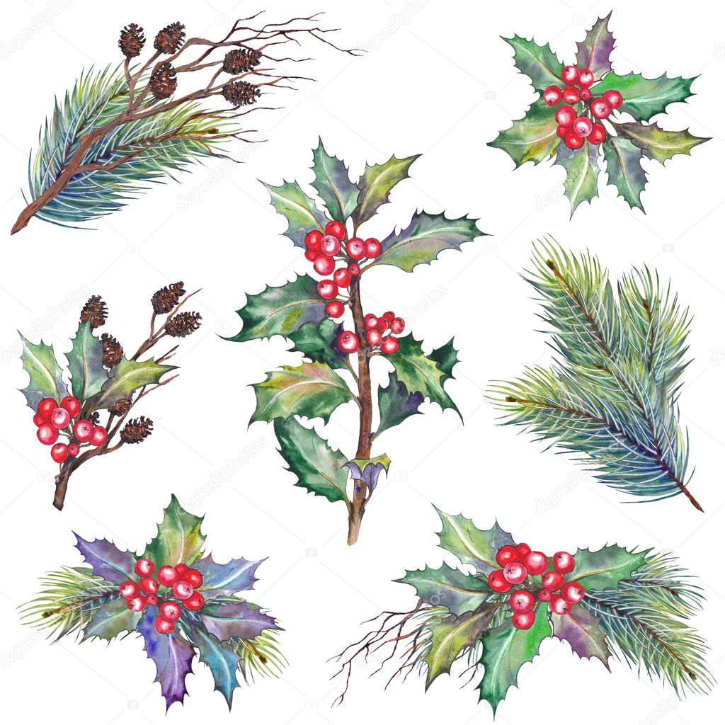 Set of Christmas branches with holly berry plant, pine, dry twigs and cones. Watercolor illustration. Isolated elements for design.