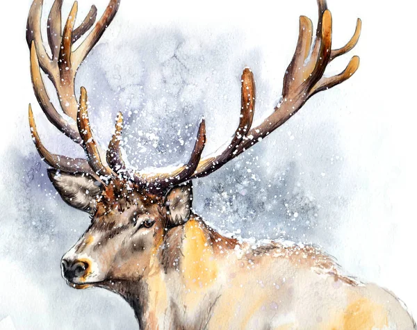 Winter Deer Big Horns Snowfall Light Blue Background Watercolor Illustration — Stock Photo, Image