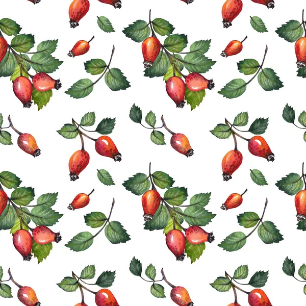 无缝图案与红色的玫瑰臀部浆果和绿叶 白色背景上的水彩插图 — 图库照片
