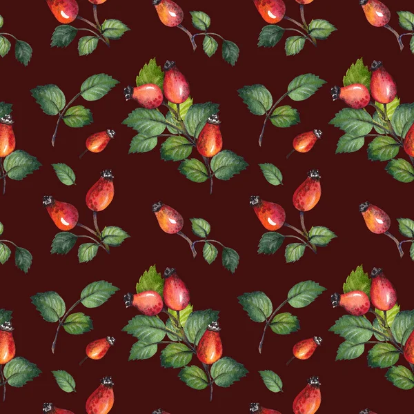 Padrão Sem Costura Com Rosehips Vermelhas Bagas Folhas Verdes Ilustração — Fotografia de Stock