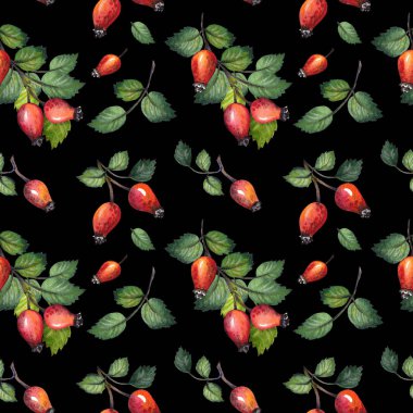 Kırmızı Kuşburnu çilek ve yeşil yaprakları ile Seamless modeli. Siyah arka plan üzerine suluboya resim.