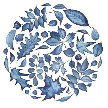 Yaprakların farklı bir tasarımla daire içine alın. Sulu boya resim, beyaz arka plan üzerinde koyu mavi.