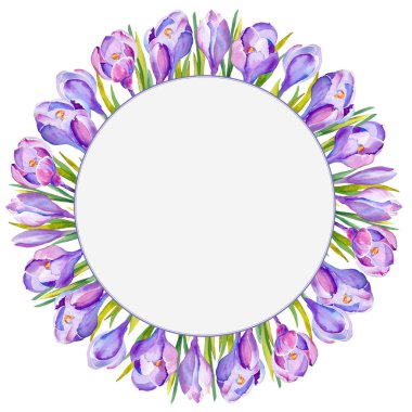 Suluboya daire çerçeveli mor bitkisi çiçeği. Beyaz zemin üzerine çizilen illüstrasyon el.