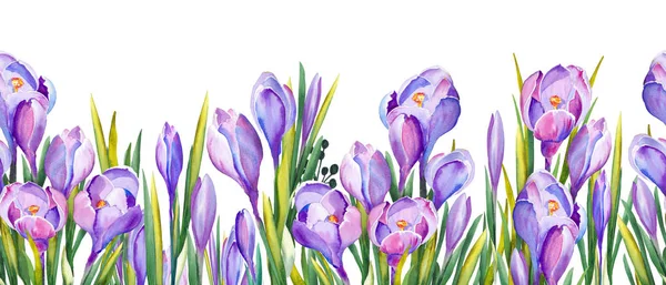 Безшовний Банер Фіолетовими Квітами Кроку Акварель Білому Тлі — стокове фото