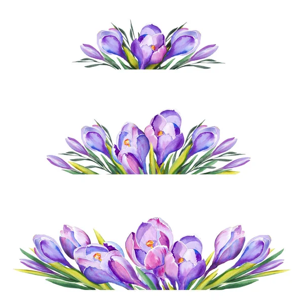 Set Purple Crocus Flowers Your Design Watercolor White Background — Stock Photo, Image