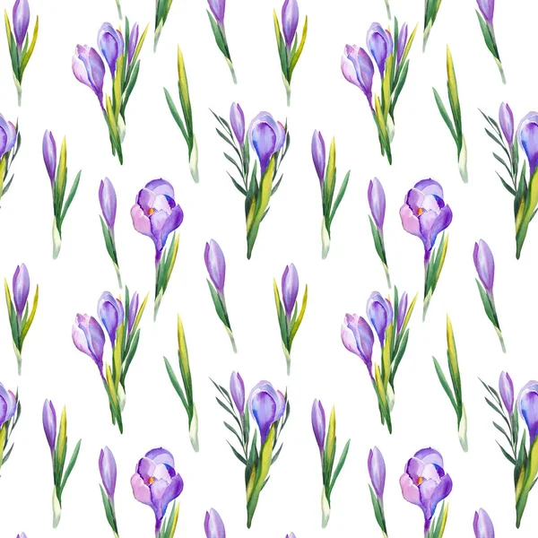 Seamless Pattern Purple Crocus Flowers Watercolor Illustration White Background — Stock Photo, Image