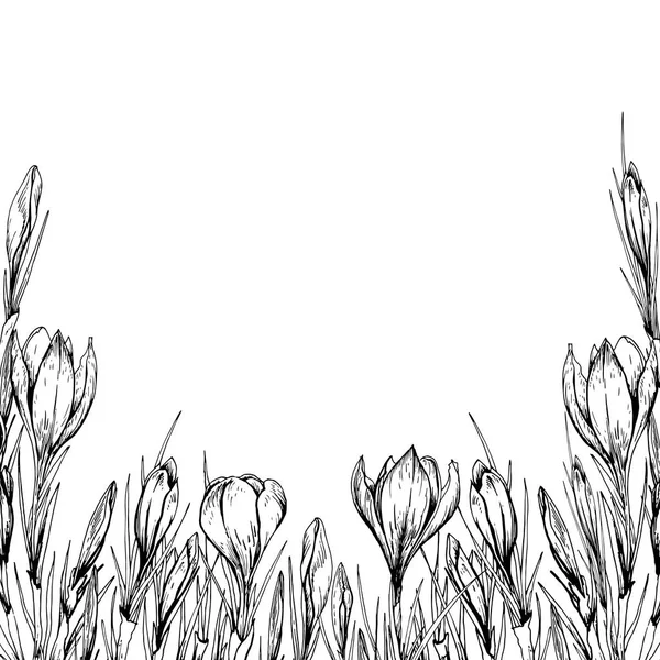 Floraler Quadratischer Rahmen Mit Frühlingskrokusblüten Handgezeichnete Vektor Illustration — Stockvektor