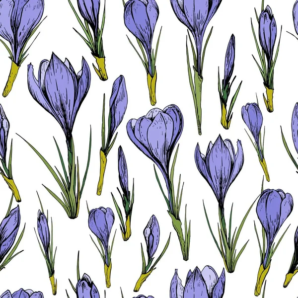 Seamless Pattern Purple Crocus Flowers Hand Drawn Vector Illustration — Stock Vector