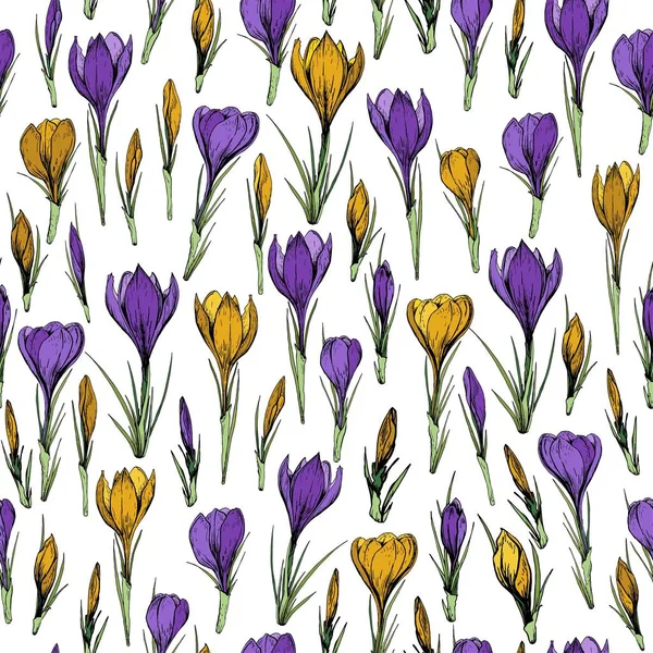 Seamless Pattern Purple Yellow Crocus Flowers Hand Drawn Vector Illustration — Stock Vector