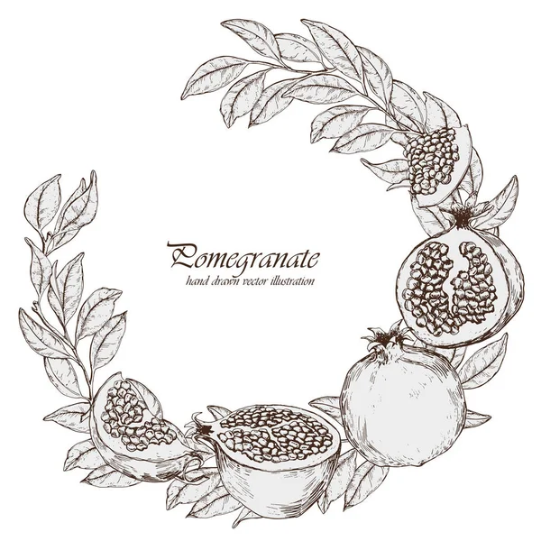 Diseño Coronas Con Frutas Hojas Granada Ilustración Vectorial Dibujada Mano — Vector de stock