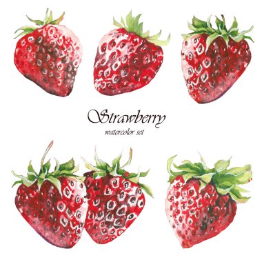 Suluboya kırmızı çilek ayarlayın. Tasarım için izole öğeleri.