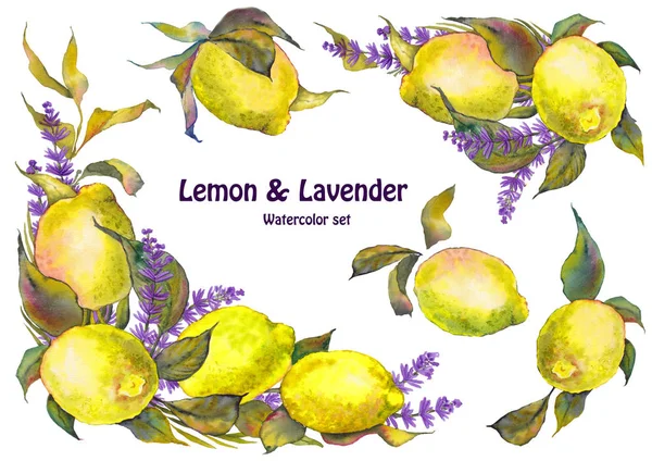 Conjunto Aquarela Frutas Limão Com Folhas Flores Lavanda Elementos Isolados — Fotografia de Stock