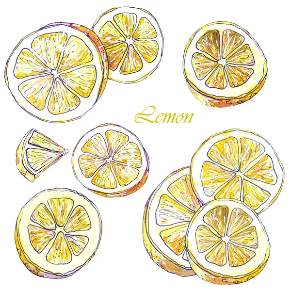 Ensemble Aquarelle Tranches Citron Eléments Isolés Pour Conception — Photo