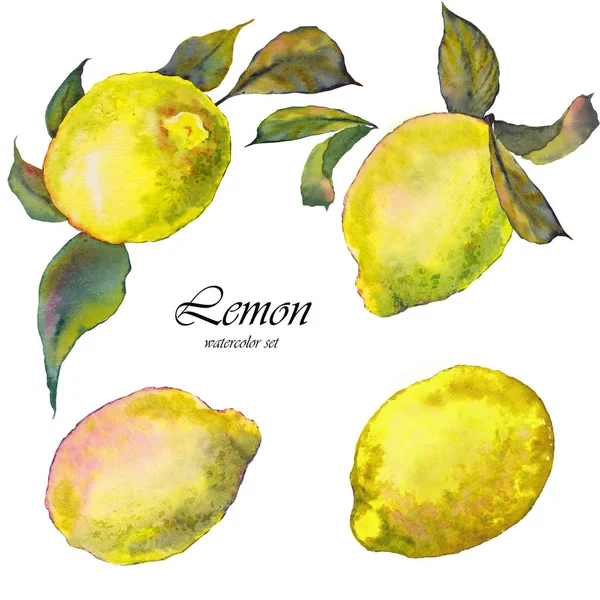 水彩设置柠檬水果与叶子 用于设计的独立元素 — 图库照片