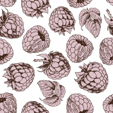 Ahududu ile Seamless modeli. El vektör beyaz zemin üzerine çekilmiş..