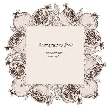 Nar meyve ve yaprakları ile kare kartı. Çizilmiş vektör çizim el.