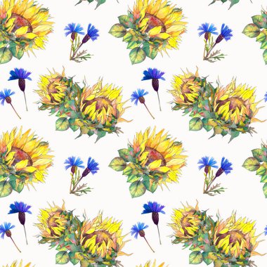 Ayçiçeği ve mavi Peygamber ile Seamless modeli. Beyaz arka plan üzerine suluboya.