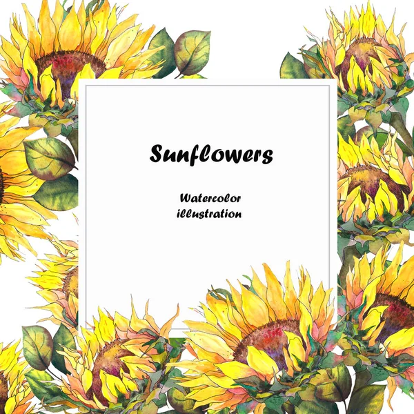 Grußkarte Mit Sonnenblumen Aquarell Illustration Auf Weißem Hintergrund — Stockfoto