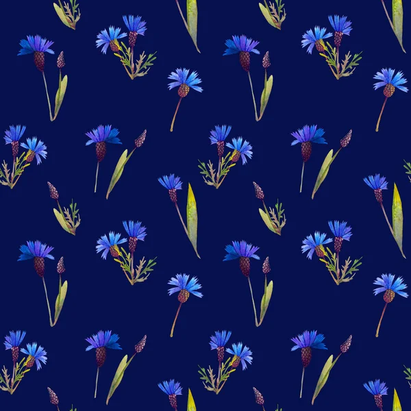 Seamless Pattern Blue Cornflowers Watercolor Dark Blue Background — Stock Photo, Image