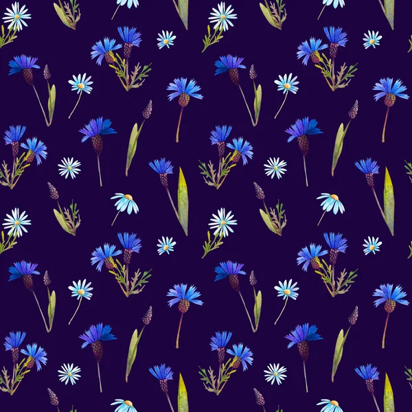 Seamless Pattern Blue Cornflowers Daisies Watercolor Dark Purple Background — Stock Photo, Image