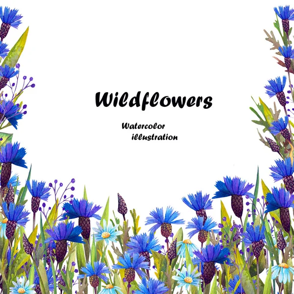 Quadratischer Rahmen Mit Wildblumen Blauen Kornblumen Und Margeriten Aquarell Auf — Stockfoto