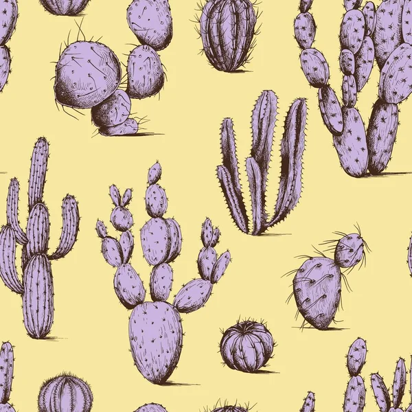 Modèle Sans Couture Avec Des Plantes Cactus Violet Rose Vecteur — Image vectorielle