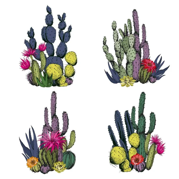 Coloridas Composiciones Cactus Con Flores Ilustración Vectorial Dibujada Mano — Archivo Imágenes Vectoriales