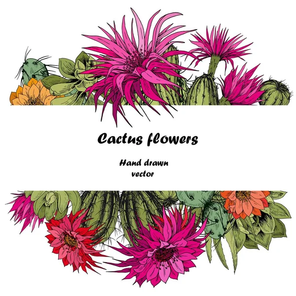 Marco Cuadrado Con Flores Cactus Colores Plantas Suculentas Verdes Vector — Vector de stock