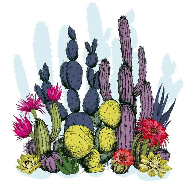 Plantes Cactus Colorées Avec Des Fleurs Vecteur Dessiné Main Sur — Image vectorielle